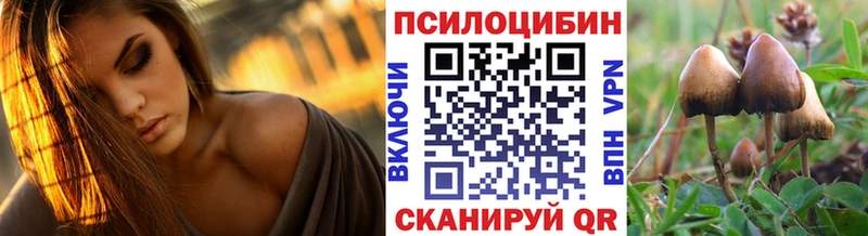 где найти наркотики  Владивосток  Галлюциногенные грибы Cubensis 