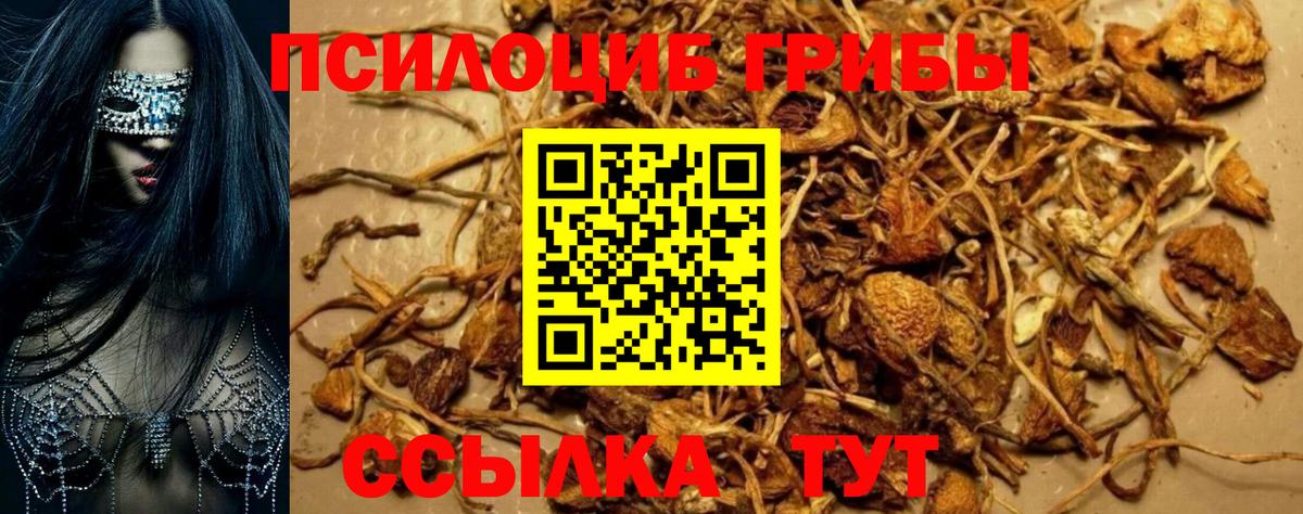 Галлюциногенные грибы мицелий  Вход с VPN  Владивосток 